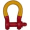 Skookum #263 7/8 in SCREW PIN SHACKLE EYED PIN WLL SKM-626307 - alternate 1